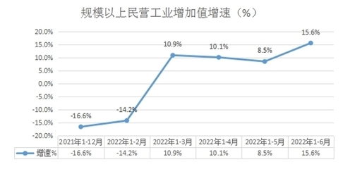 (内蒙古自治区)兴安盟2022年上半年规模以上民营工业经济稳中有进