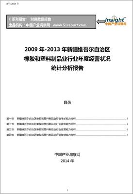 2009-2013年新疆维吾尔自治区橡胶和塑料制品业行业经营状况分析年报