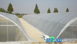 【邯郸销量好的农用薄膜推荐:农用薄膜代理加盟】_邯郸销量好的农用薄膜推荐:农用薄膜代理加盟价格_邯郸销量好的农用薄膜推荐:农用薄膜代理加盟厂家-到中华标准件网