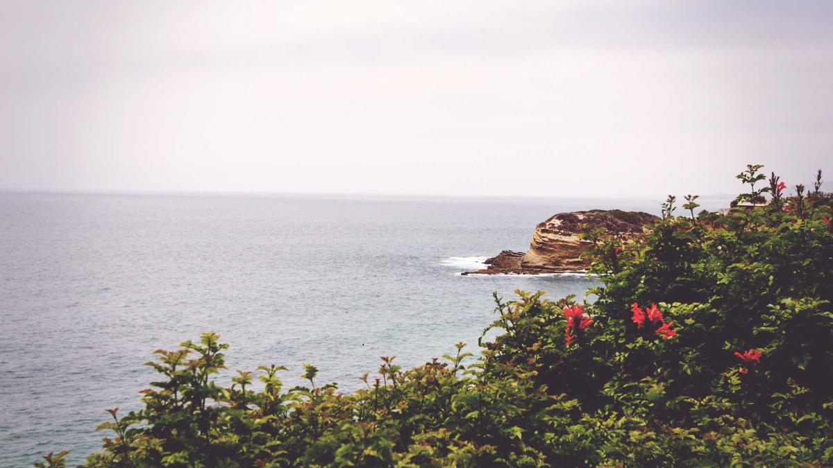 Cuộc đua tuyến giữa giữa Rodri và Ødegaard trong trận Man City vs Arsenal